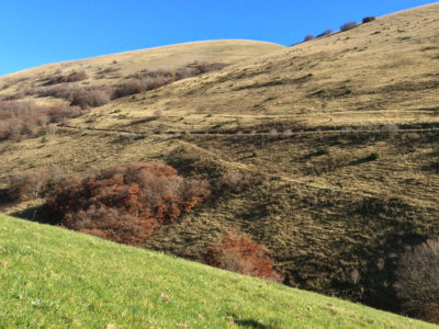 06_riserva biogenetica