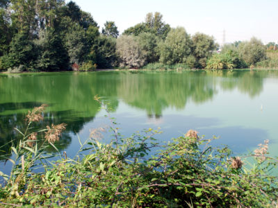 07_lago e garzaia