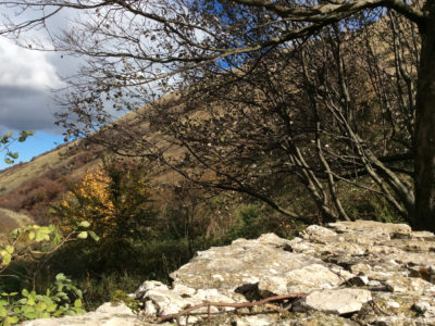 07_sentiero verso sud