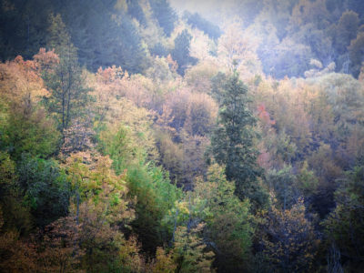 08 – montecopiolo – paesaggio